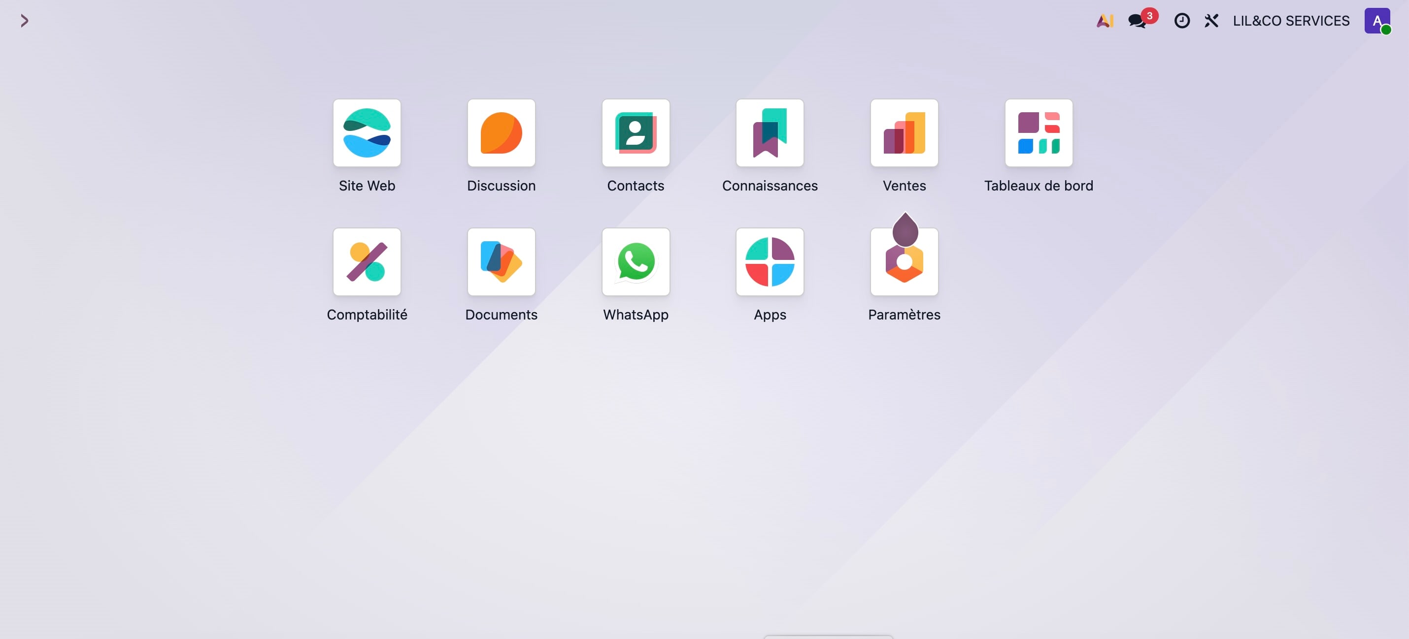 Odoo · LIL & CO opérations